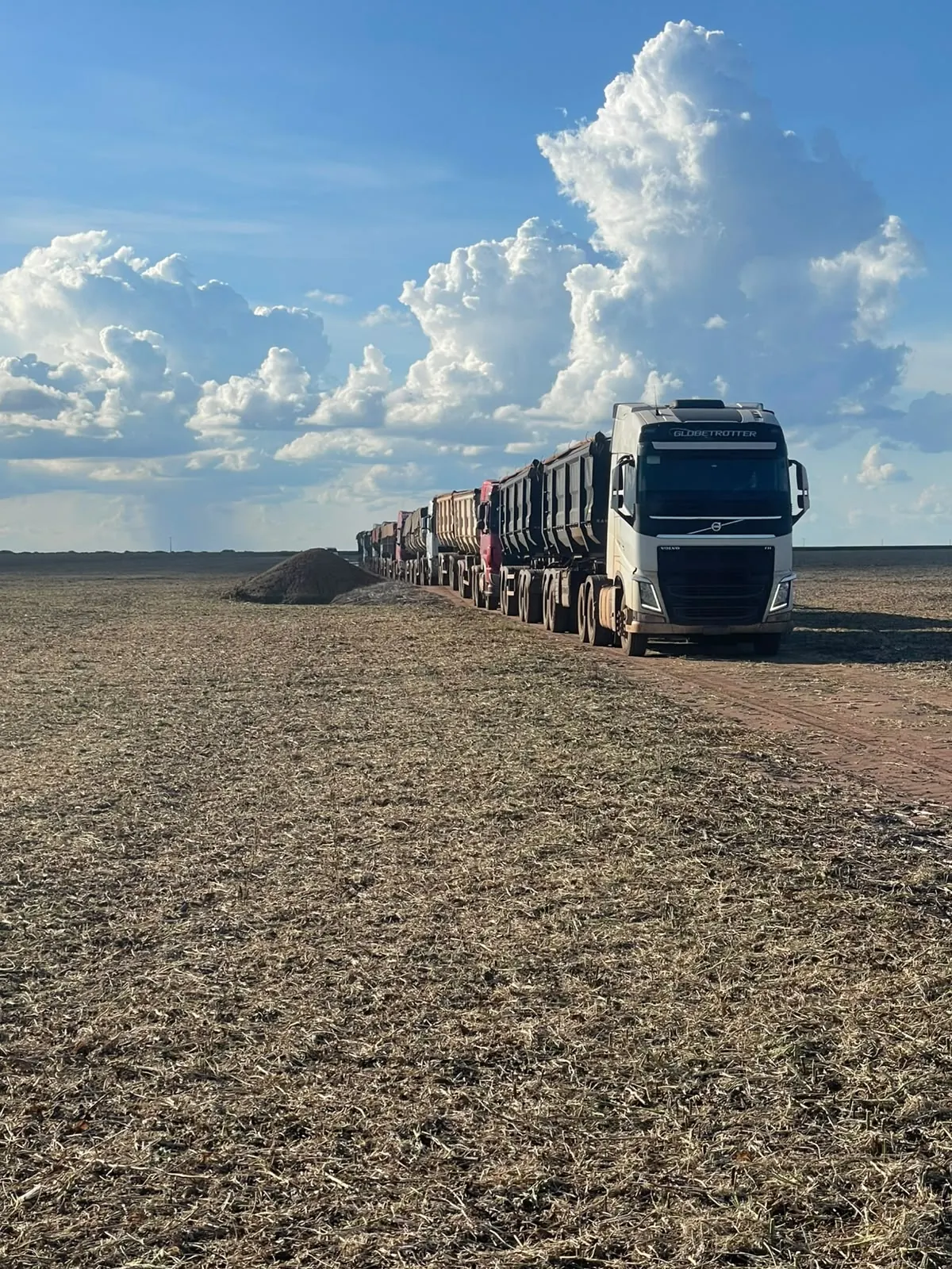 Volvo FH com rodotrem basculante liderando a fila na lavoura